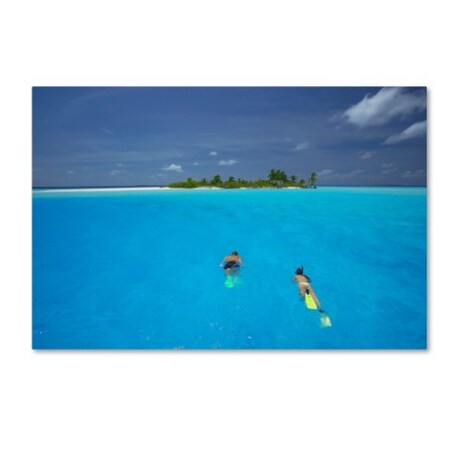 Trademark Fine Art Robert Harding Picture Library 'Swimming 2' Canvas Art, 30x47 ALI19114-C3047GG